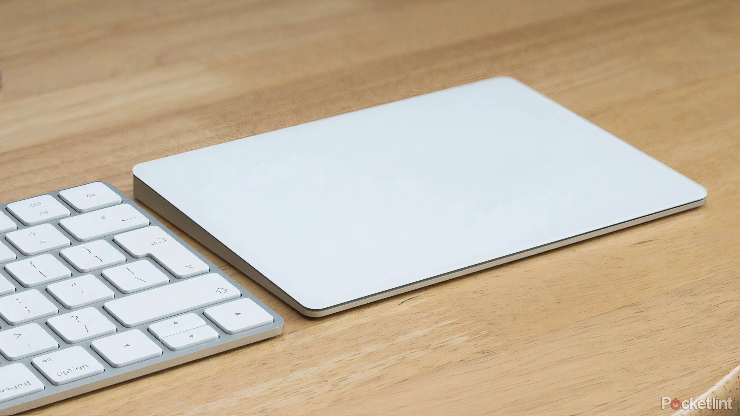 Bàn phím Magic Keyboard và Magic Trackpad của Apple, minh họa phụ kiện rời.