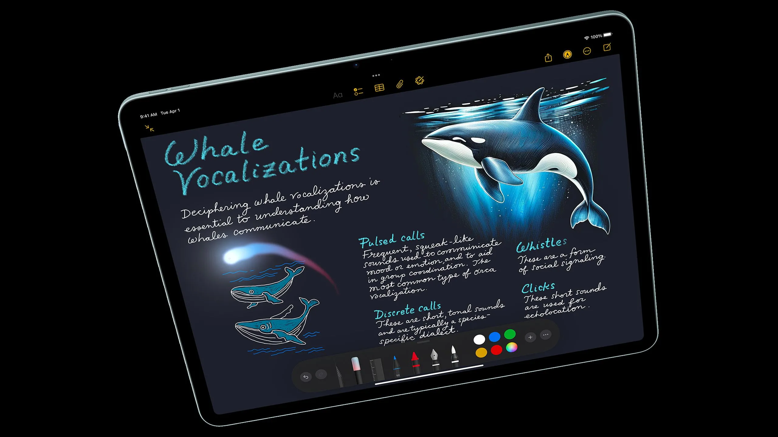 Sử dụng ứng dụng Notes trên iPad Air, thể hiện giao diện app iPad có thể chạy trên iPhone.