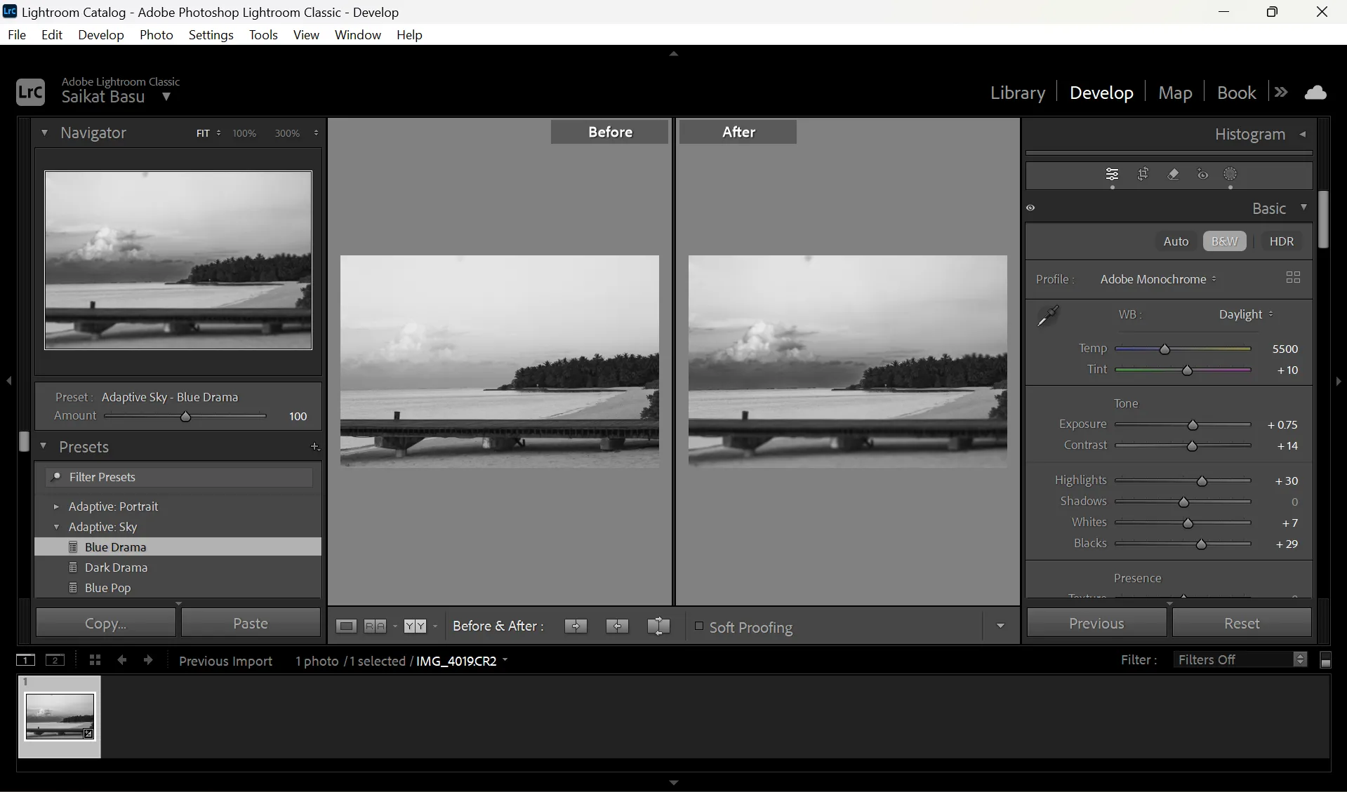 Ảnh so sánh trước và sau khi áp dụng filter trong Lightroom, minh họa sự thay đổi của hình ảnh.