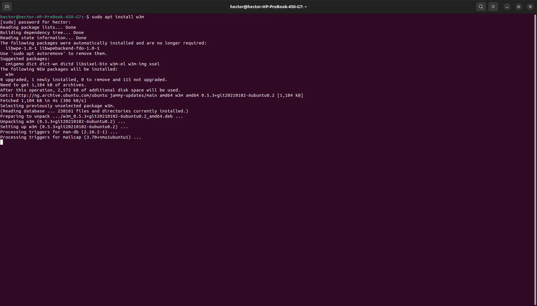 Quá trình cài đặt trình duyệt w3m trên hệ điều hành Ubuntu Linux thông qua lệnh apt install.