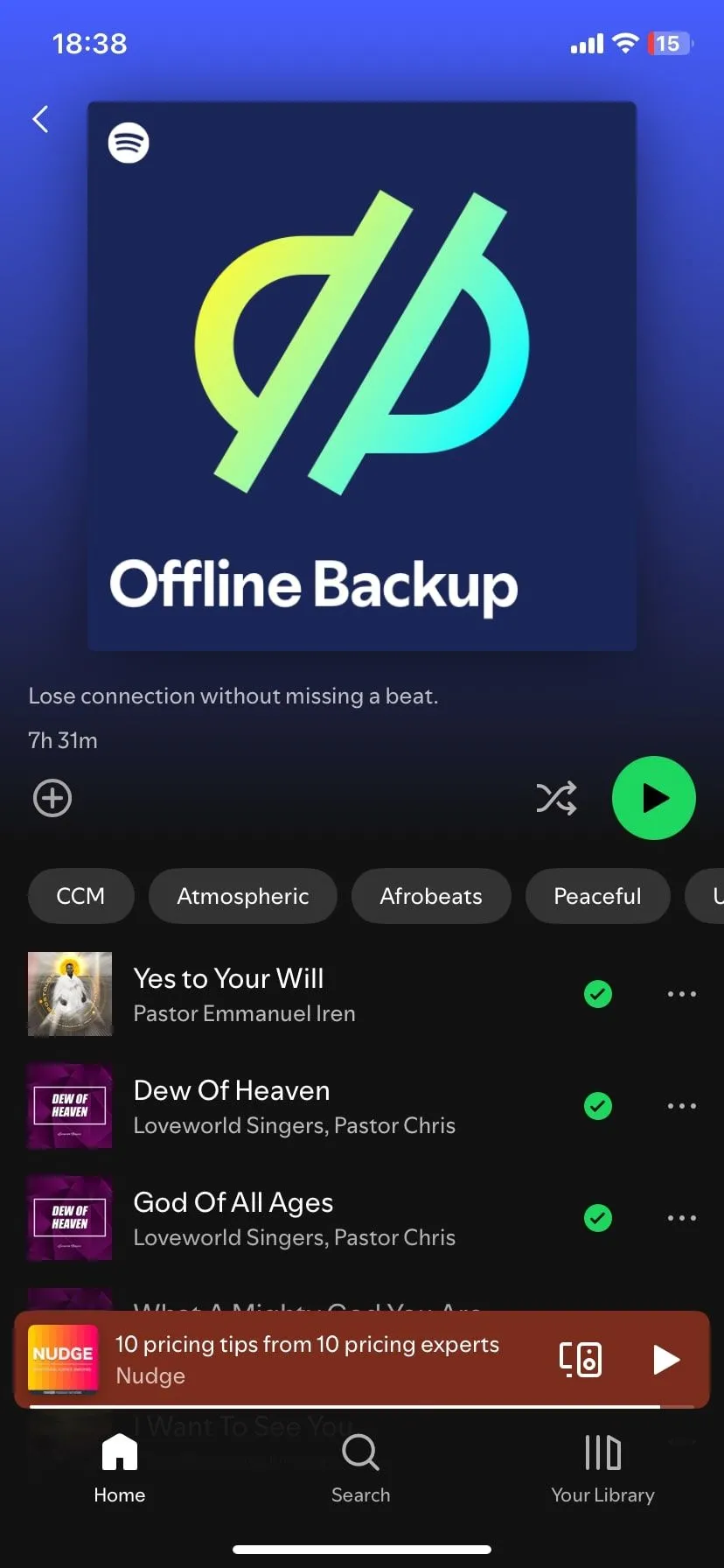 Danh sách bài hát được tải xuống để nghe offline trên Spotify