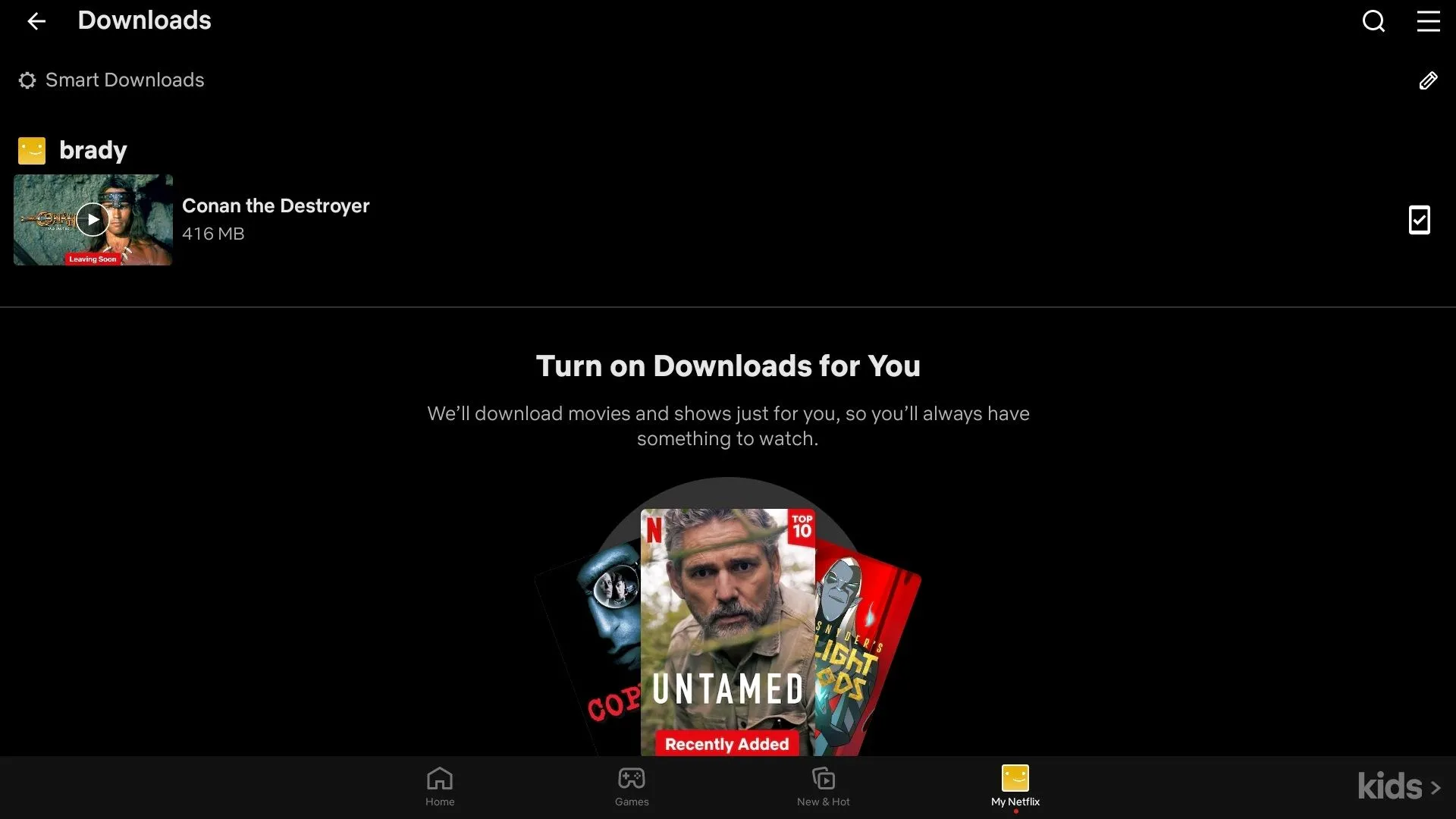 Danh sách nội dung đã tải xuống trong trang tải xuống của Netflix