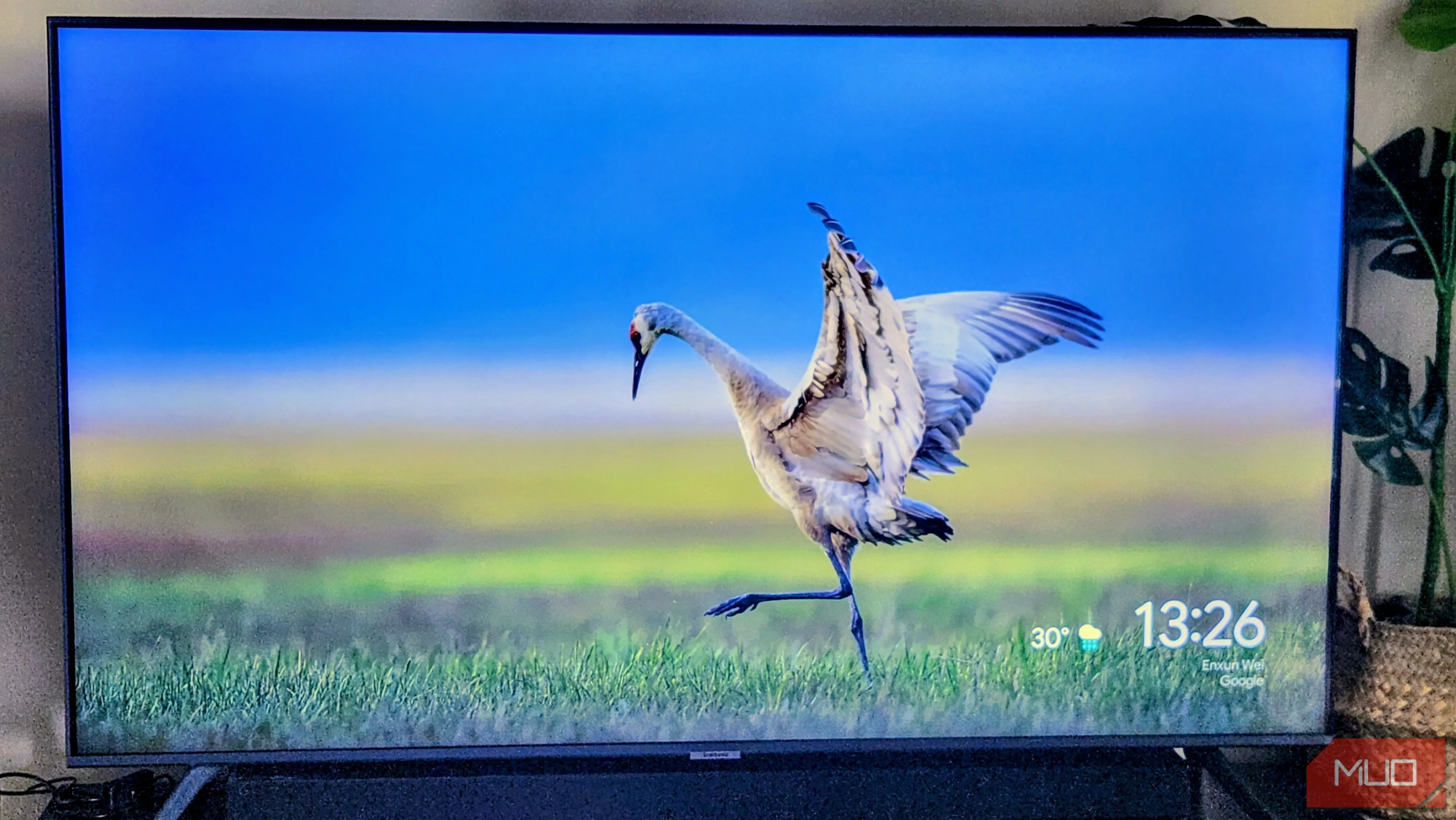Giao diện Chromecast hiển thị trên màn hình TV.
