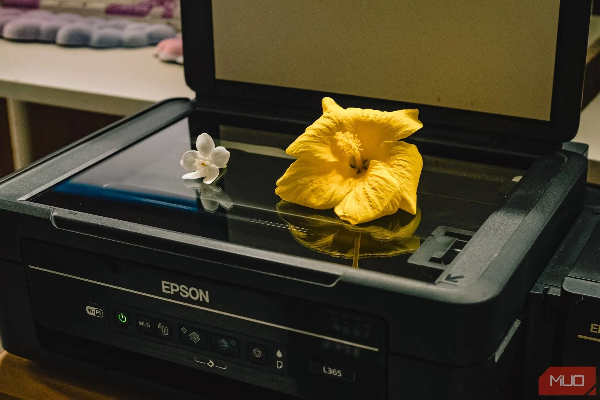 Hoa đặt trên máy quét phẳng (flatbed scanner), minh họa thiết bị quét tài liệu truyền thống đã được smartphone thay thế