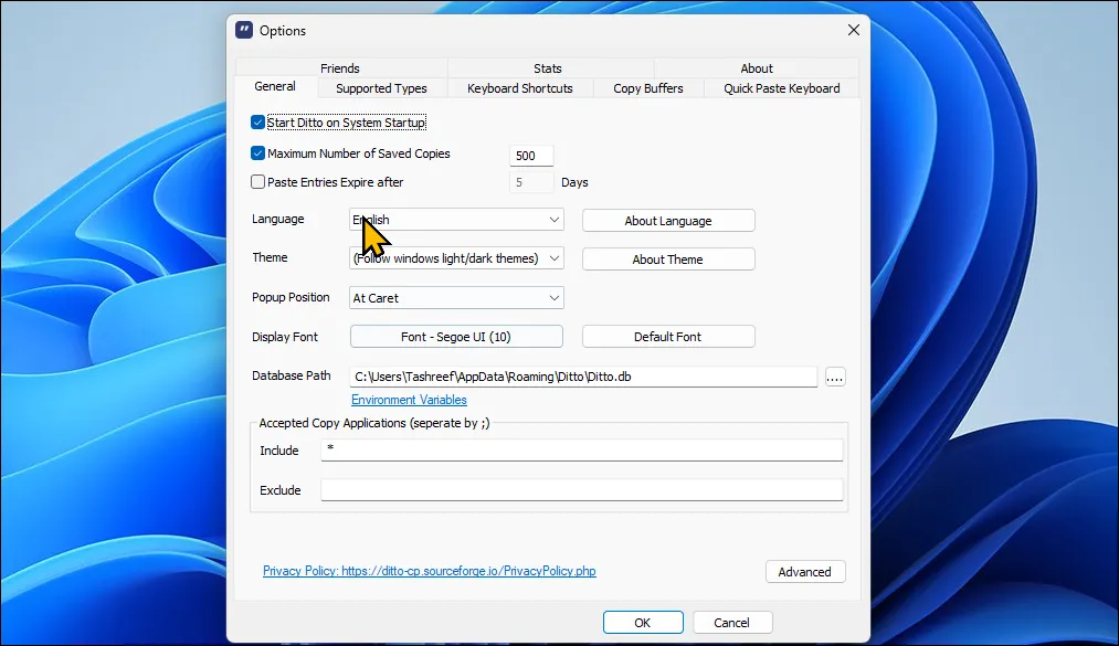Hộp thoại tùy chọn quản lý clipboard của Ditto trên Windows 11