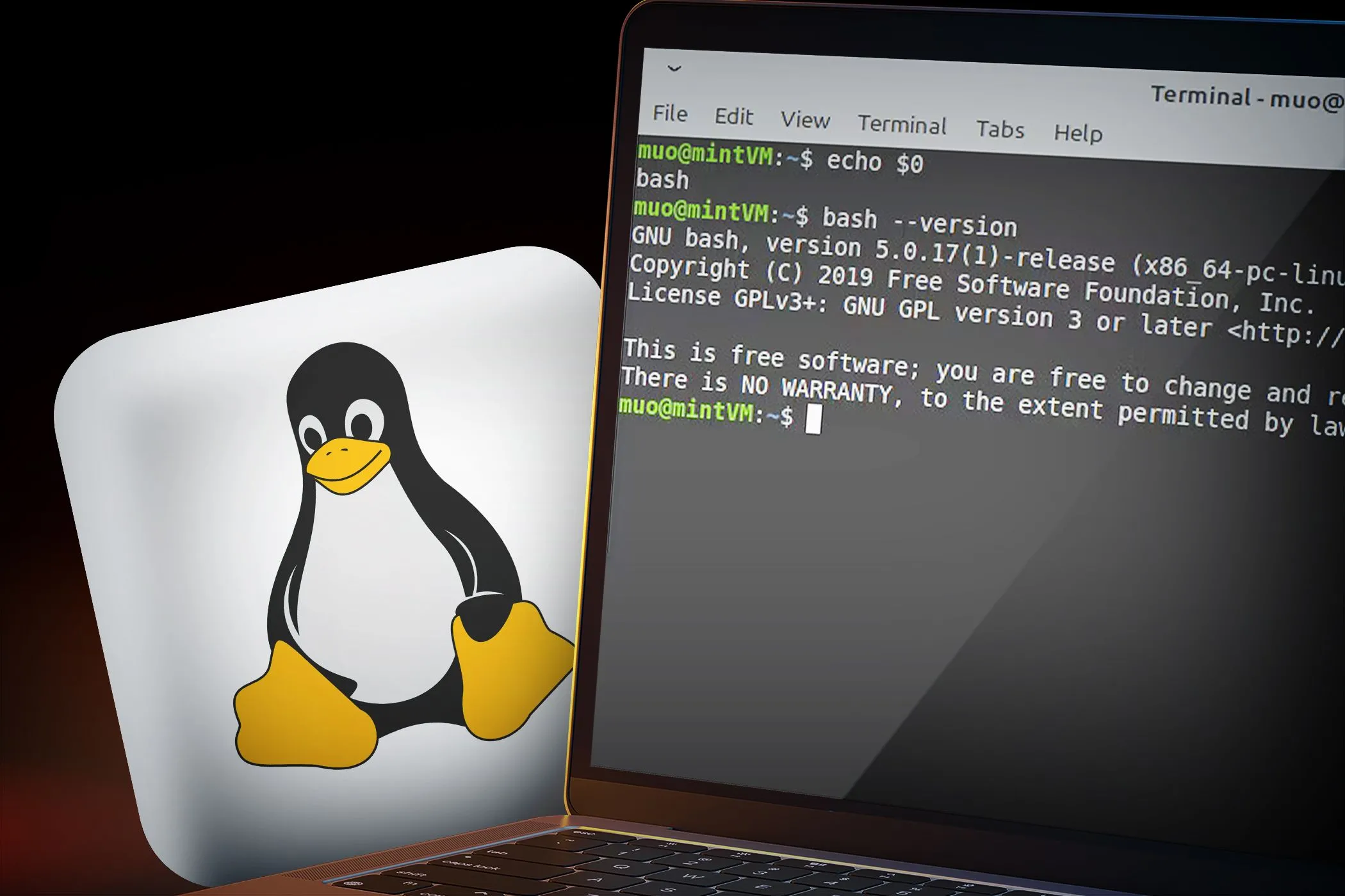 Màn hình laptop hiển thị giao diện dòng lệnh Bash trên nền logo Linux, tượng trưng cho tính bảo mật và mã nguồn mở