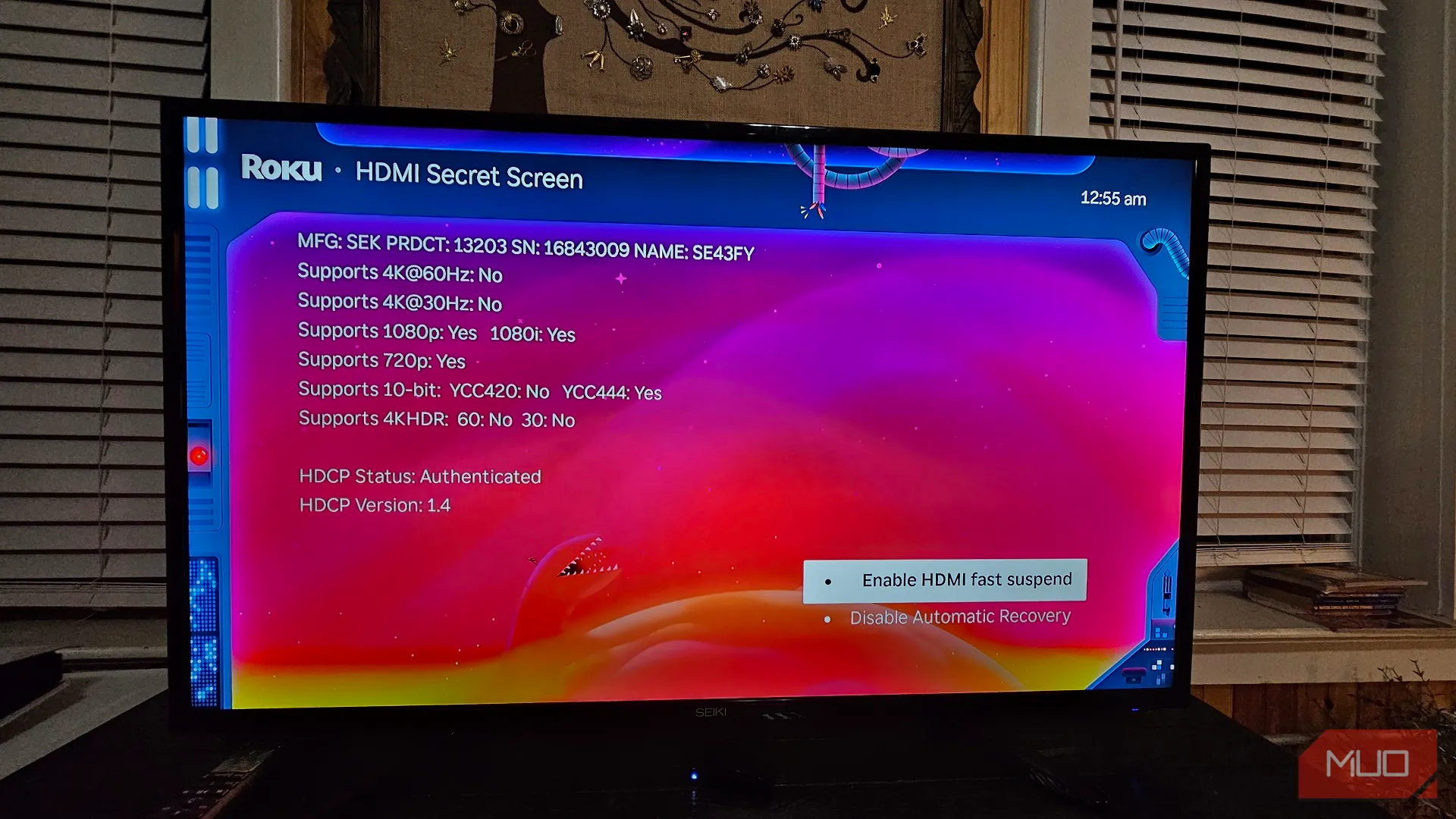 Menu Màn hình bí mật HDMI của Roku, hiển thị thông tin về độ phân giải và tần số quét