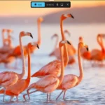 Menu tính năng quay màn hình của Snipping Tool trên Windows 11, hiển thị tùy chọn ghi âm và chọn vùng.