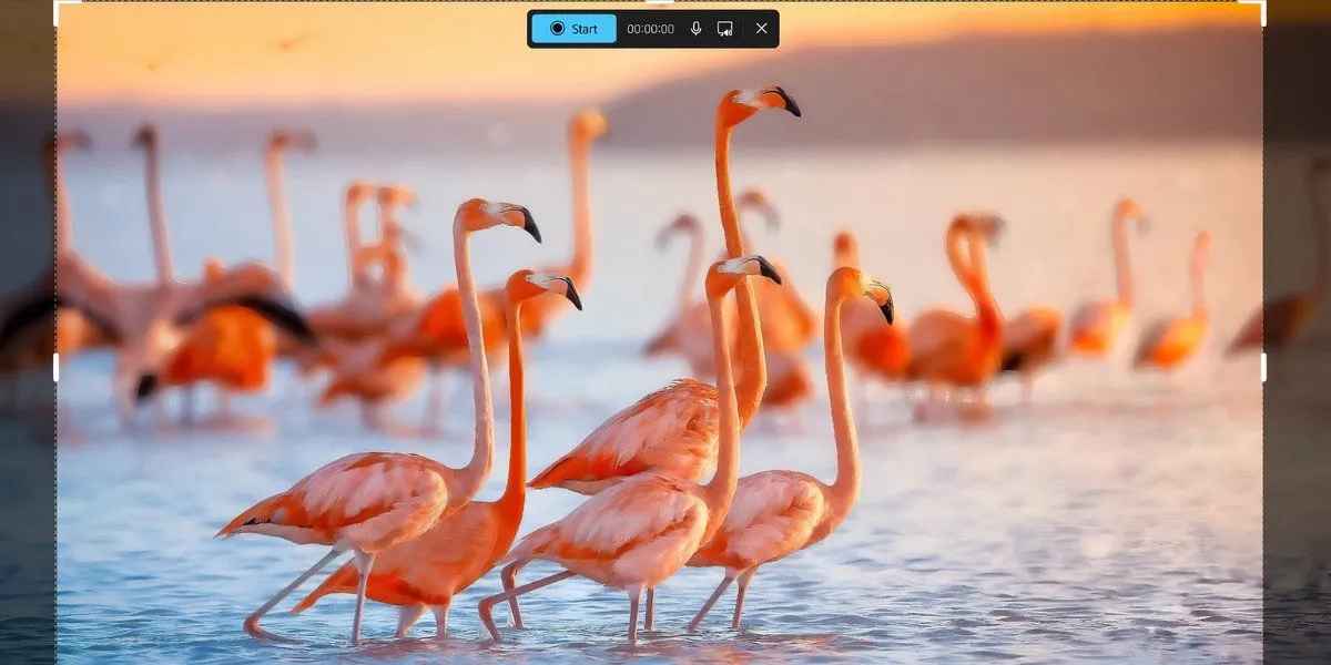 Menu tính năng quay màn hình của Snipping Tool trên Windows 11, hiển thị tùy chọn ghi âm và chọn vùng.
