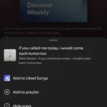 menu tùy chọn trong ứng dụng Spotify với chức năng Ẩn bài hát giúp cá nhân hóa đề xuất