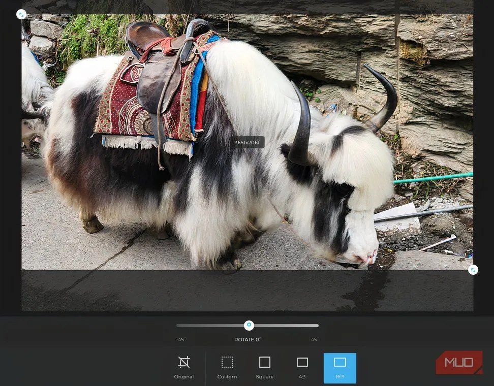 Người dùng đang chỉnh sửa ảnh màn hình chờ Fire TV trên máy tính với Amazon Photos