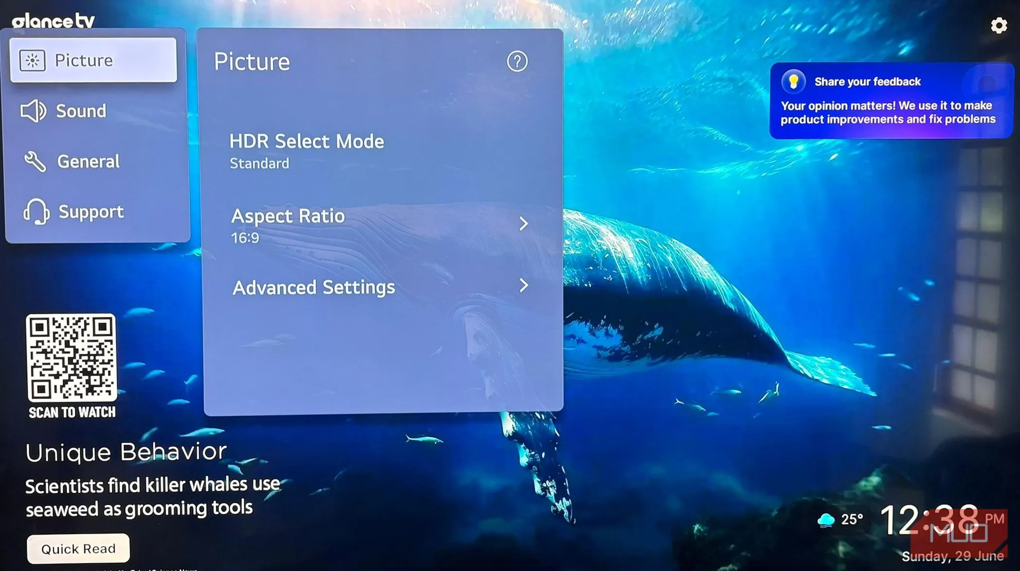 Người dùng đang điều chỉnh cài đặt hình ảnh và chọn chế độ HDR phù hợp trên TV