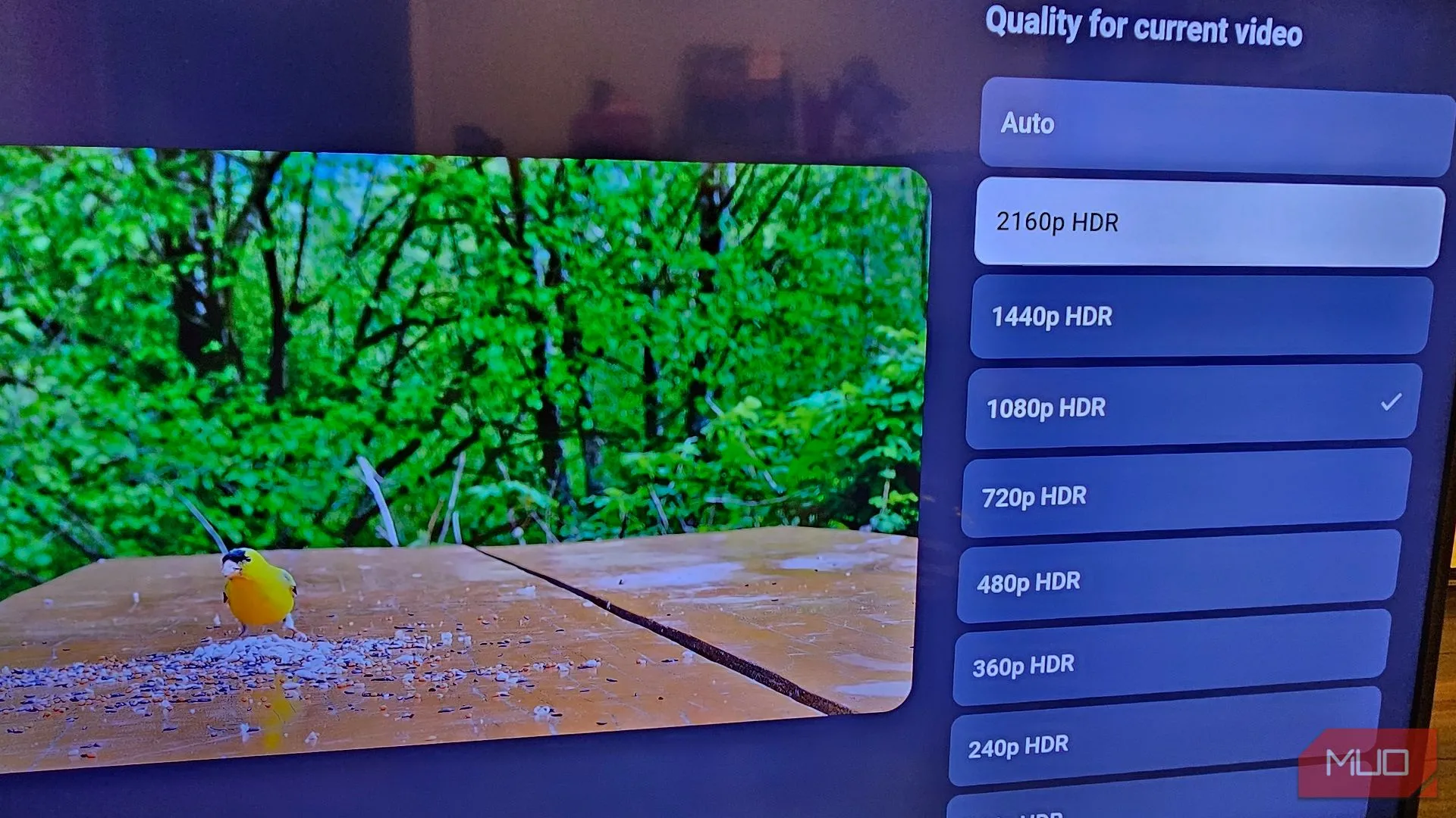 Thiết lập độ phân giải 2160p HDR cho video YouTube trong ứng dụng trên Smart TV.