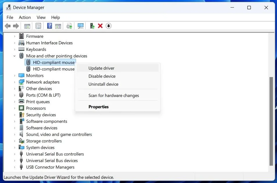 Tùy chọn cập nhật driver chuột trong trình quản lý thiết bị Device Manager