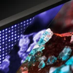 TV Mini-LED Sony cho trải nghiệm HDR sống động