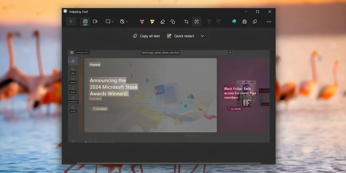 Văn bản được tô sáng trên hình ảnh, minh họa tính năng &quot;Text Actions&quot; của Snipping Tool để nhận diện và sao chép chữ.