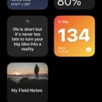 Widget tìm kiếm Google trên màn hình chính iOS